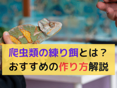爬虫類の練り餌とは？おすすめの使い方と作り方を解説