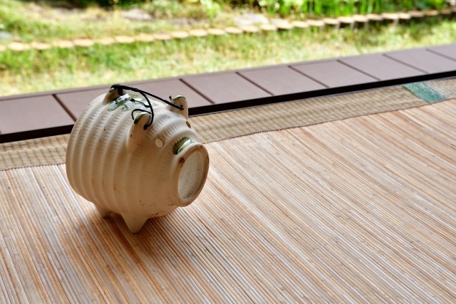 蚊取り線香は爬虫類にとってリスク？知られざる危険と正しい虫対策